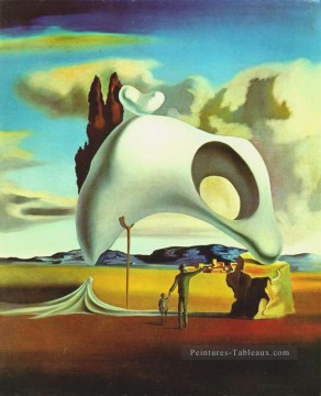 Restos atávicos tras la lluvia Salvador Dalí Pinturas al óleo